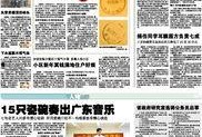 广州网上新闻爆料,惊现神秘事件，真相令人震惊！